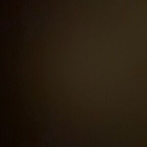 Meet your Posher, Rory